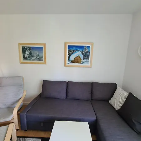 Arizanovic * 兹拉蒂博尔