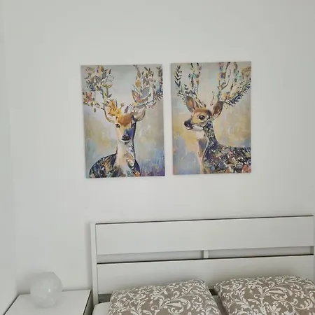 Lägenhet Arizanovic *