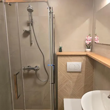 公寓 Arizanovic 兹拉蒂博尔