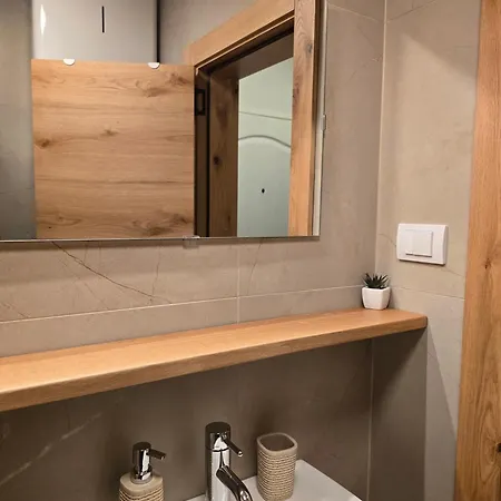 Arizanovic * 兹拉蒂博尔