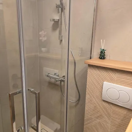 Arizanovic 兹拉蒂博尔