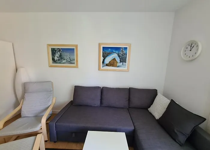 Arizanovic * 兹拉蒂博尔