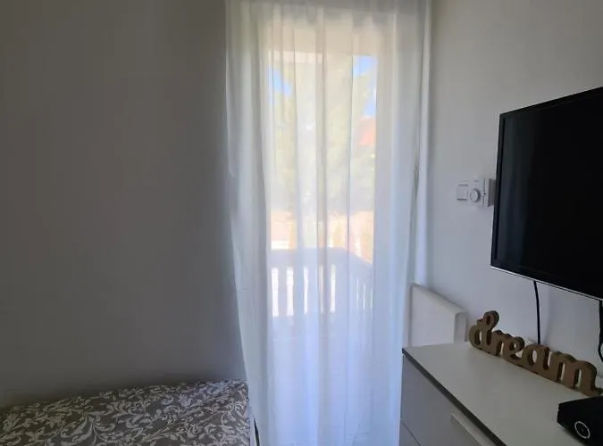 Arizanovic * 兹拉蒂博尔