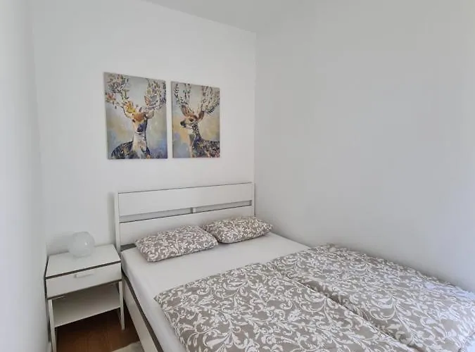 Arizanovic 公寓 兹拉蒂博尔