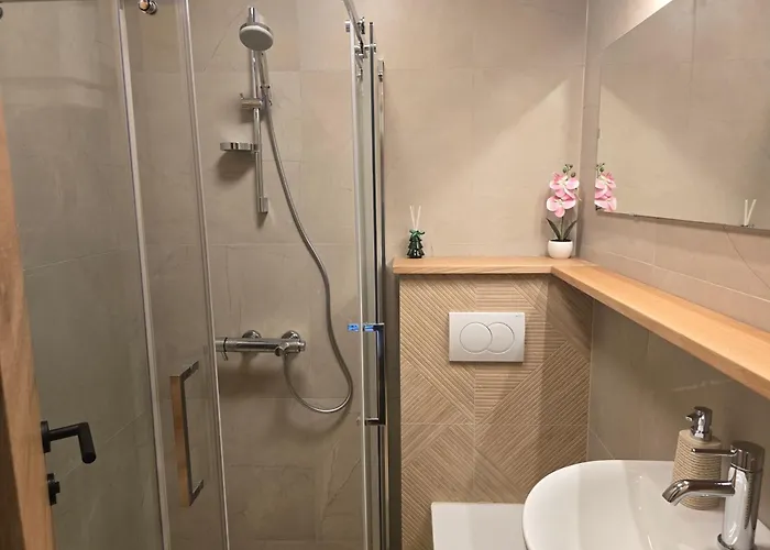 公寓 Arizanovic 兹拉蒂博尔