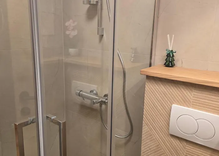 Arizanovic 兹拉蒂博尔